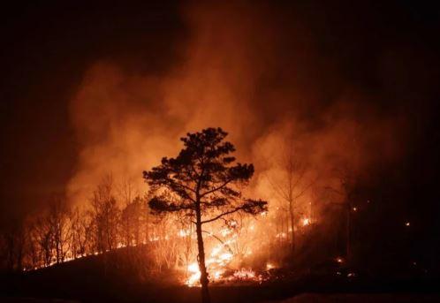 Death toll rises to 18 as deadly wildfires rage in South Korea's southeast