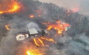 جنوبی کوریا کے جنگلات میں لگنے والی آگ سے ہلاکتوں کی تعداد 27 ہو گئی