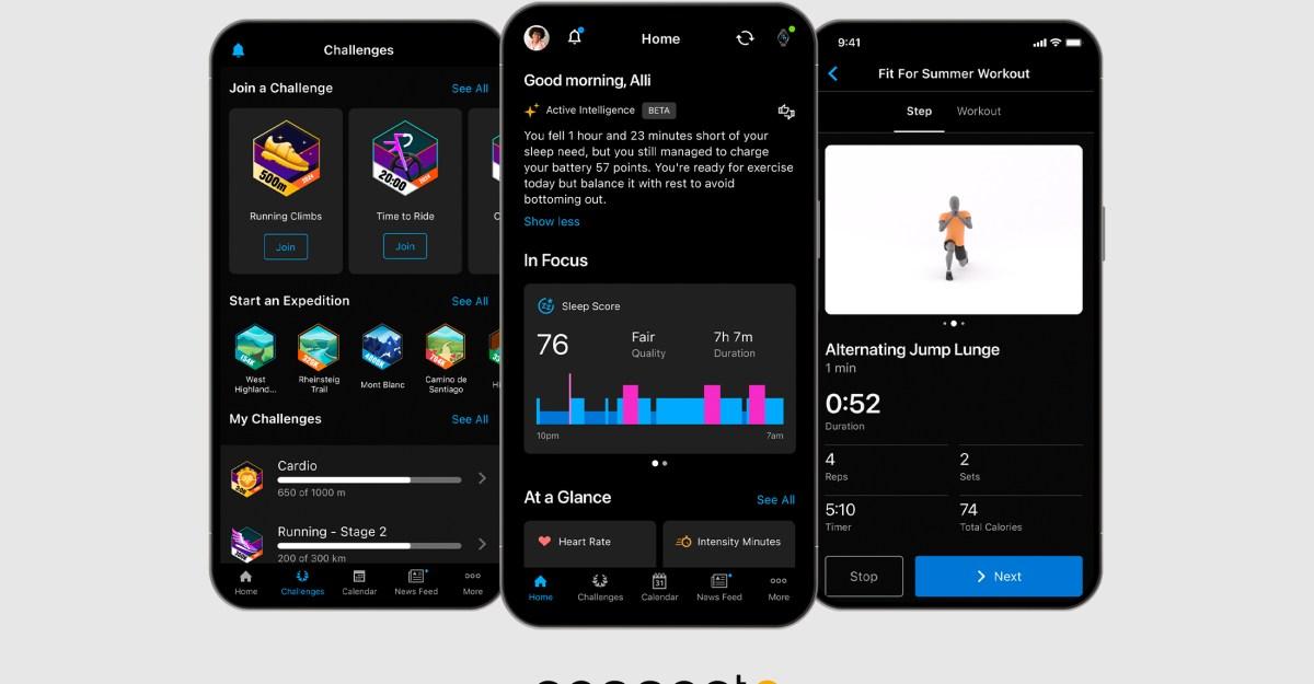 Garmin adds AI and a subscription tier to its app