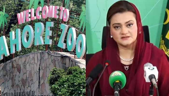  چڑیا گھر کے ٹکٹ کی قیمتوں میں اضافے سے متعلق مریم اورنگزیب نے وضاحت دیدی