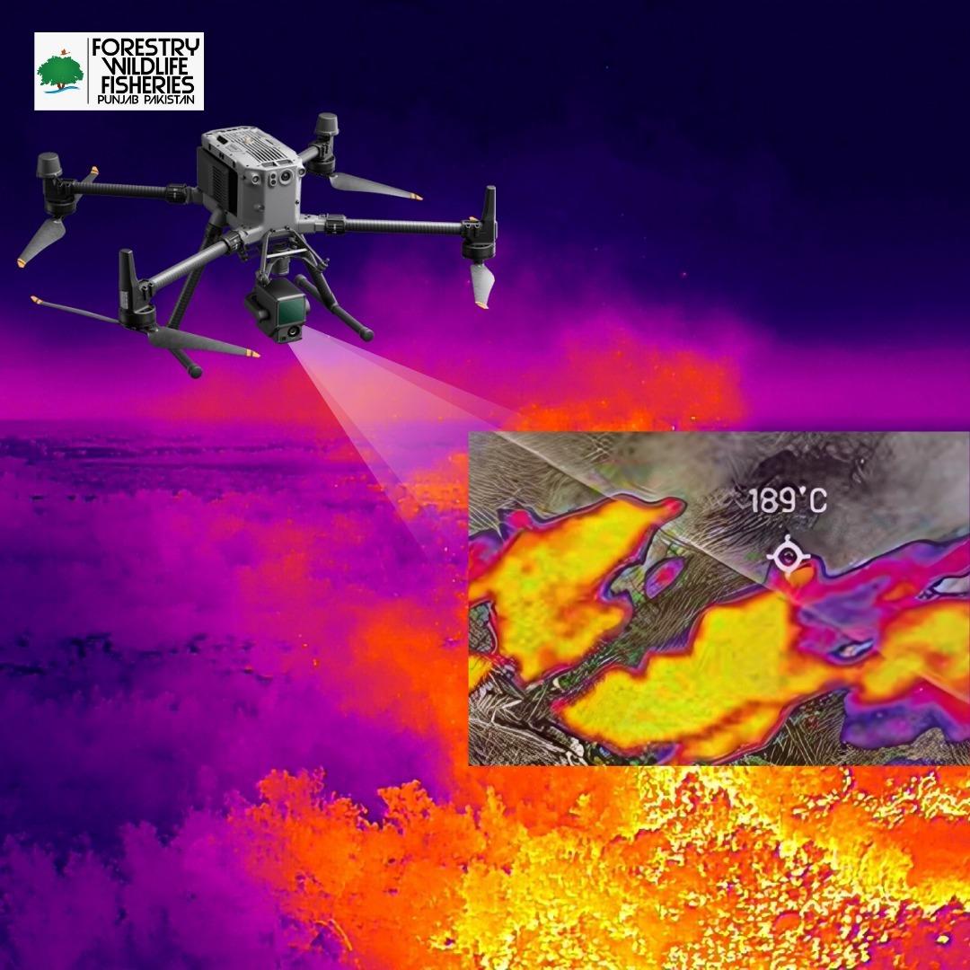 Punjab sets new standard in forest management with thermal drone technology