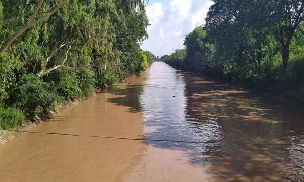 10-year-old maid tortured to death by landlord in Jhang