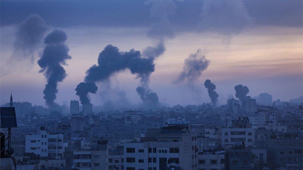 امریکی مدد کے بغیراسرائیل غزہ میں فلسطینیوں کی نسل کشی نہیں کر سکتا ، امریکی معیشت دان