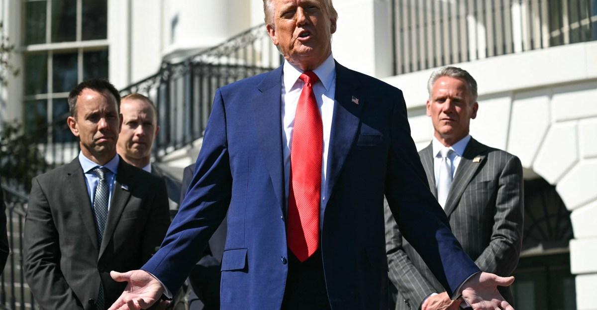 The strange link between Trump’s tariffs and incel ideology