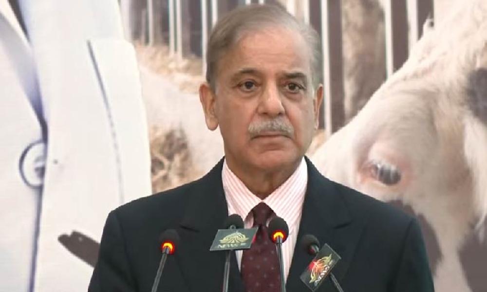 Govt to provide subsidized loans to youth
