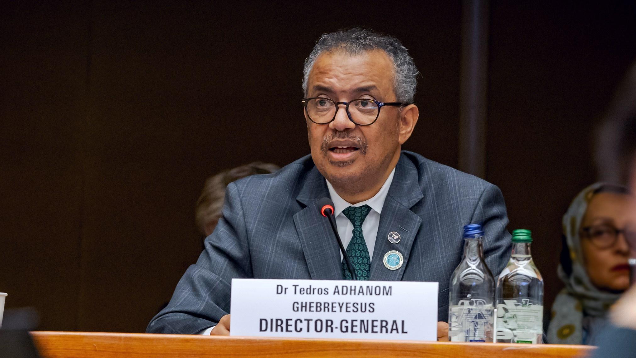 Global health funding faces ‘greatest disruption’ in memory, says WHO director