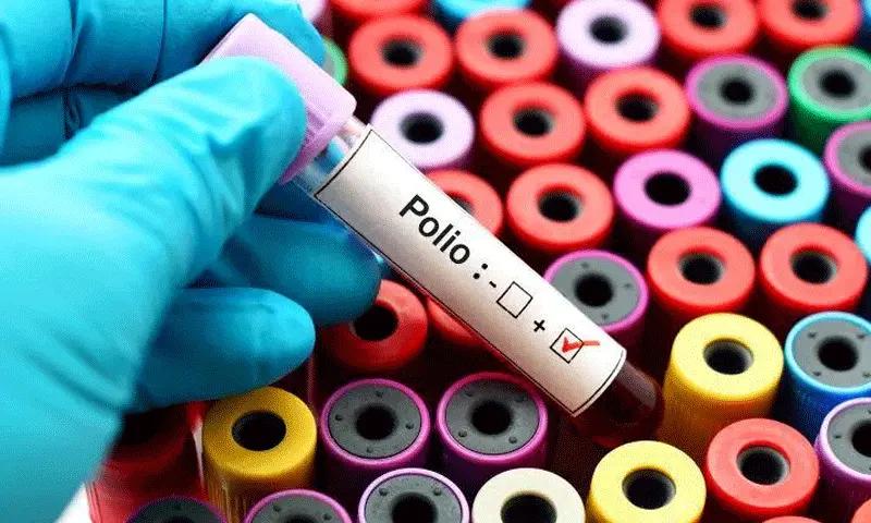 21 اضلاع  کے  ماحولیاتی نمونوں میں پولیو وائرس کی تصدیق