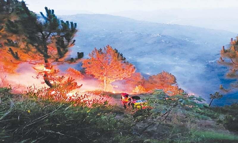Forest blaze sparks panic in Malakand