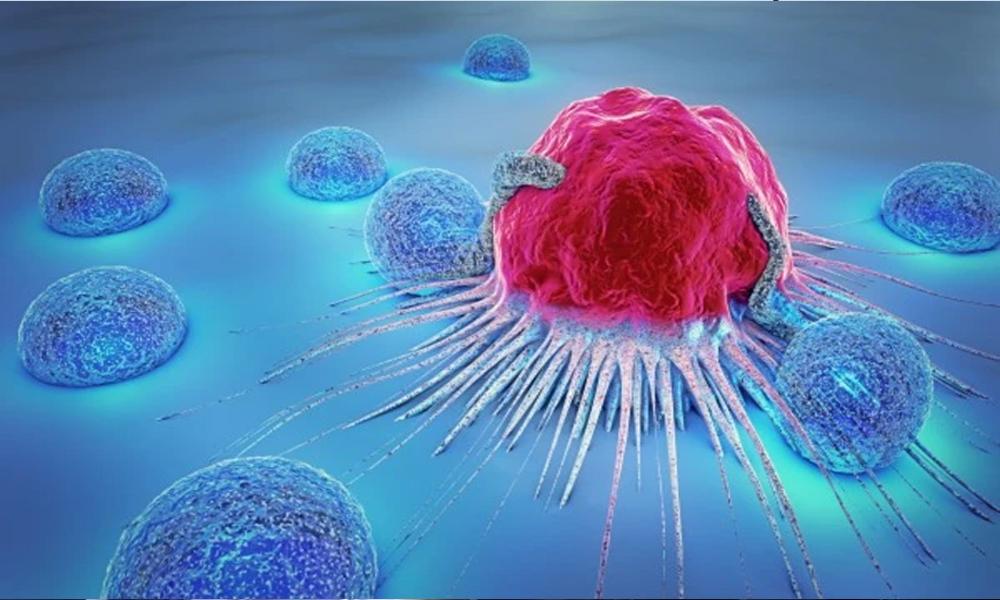 Pakistan joins global program for free medicines for childhood cancer