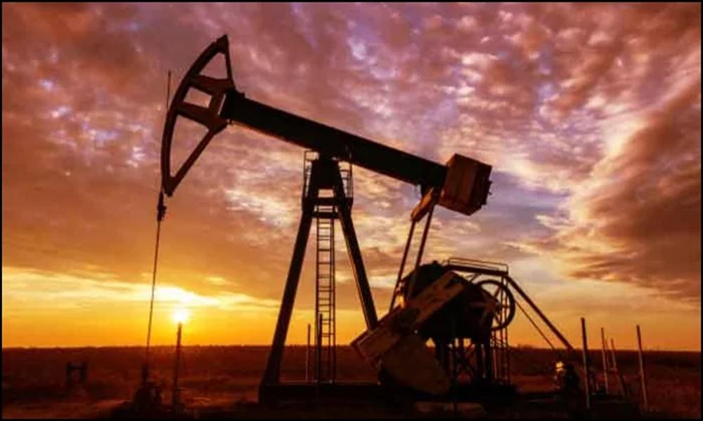 Crude oil prices fall sharply in global market