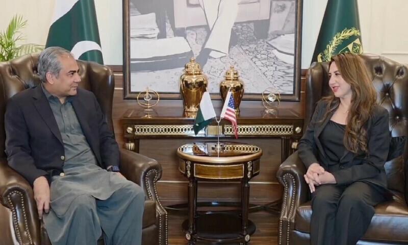 وزیر داخلہ محسن نقوی سے امریکی ناظم الامور کی ملاقات، دوطرفہ تعلقات اور علاقائی صورتحال پر تبادلہ خیال