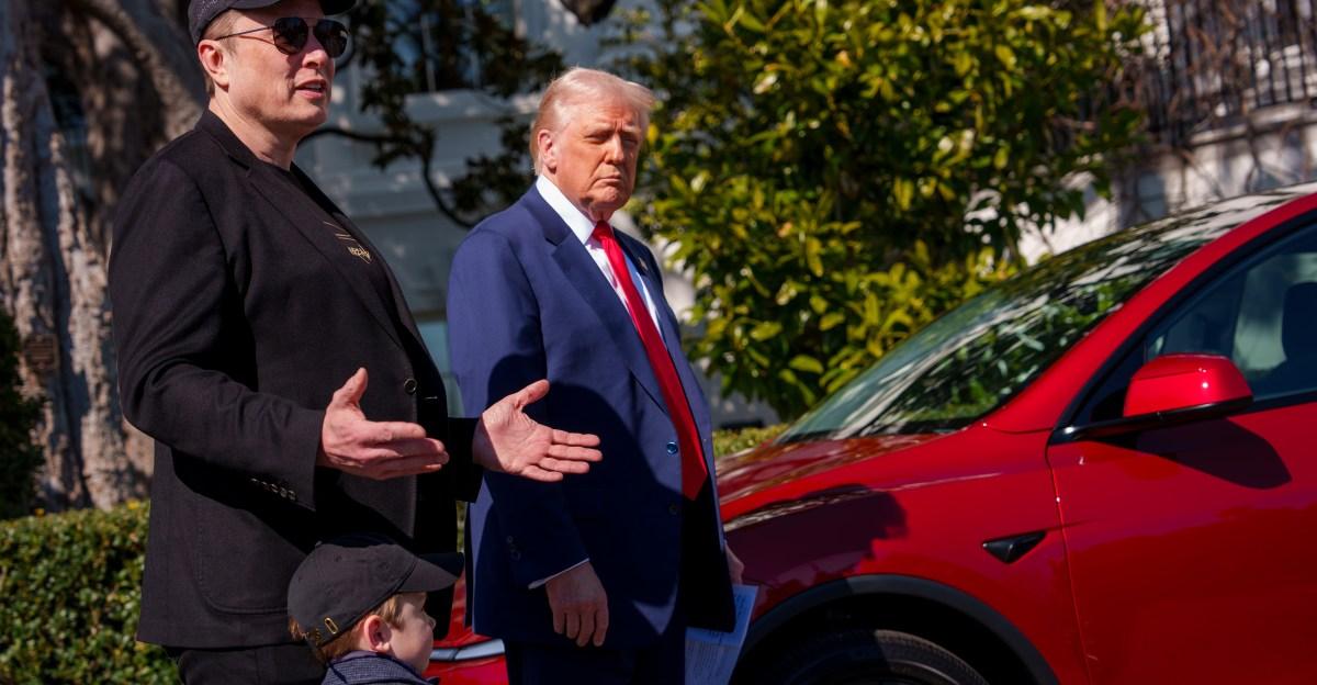 Trump says he’ll look into deporting Elon as fight over bill escalates