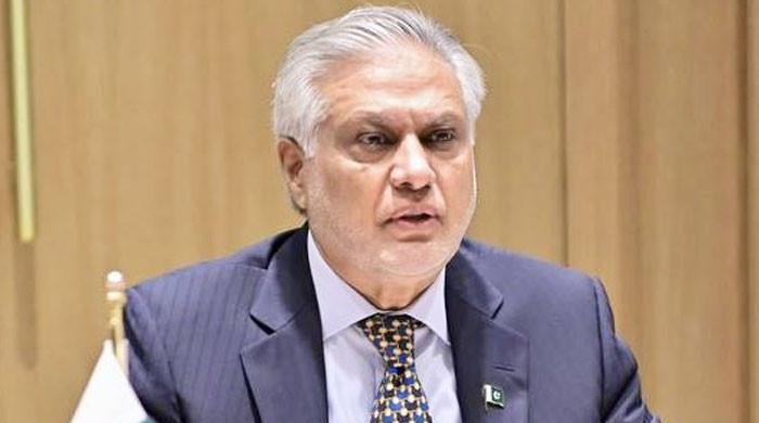 نواز شریف کی عمران خان سے ملاقات کی خبریں قیاس آرائیاں  ہیں، : اسحاق ڈار