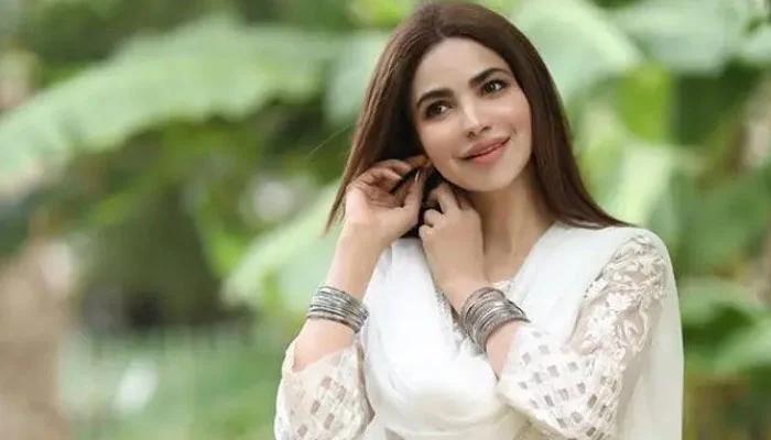 اداکارہ حمیرا اصغر کی لاش ممکنہ طور پر 6 ماہ پرانی ہے،ڈی آئی جی ساؤتھ