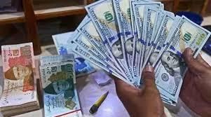 زرمبادلہ کے ذخائر 20 ارب ڈالر سے تجاوز، تاریخی ریکارڈ قائم