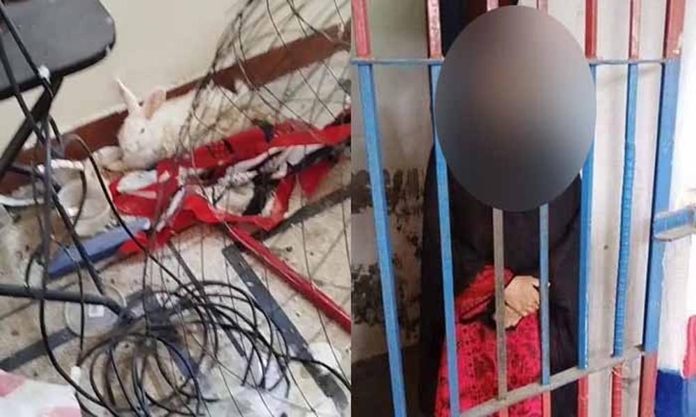 Woman in Lahore arrested for killing pets, posting on social media