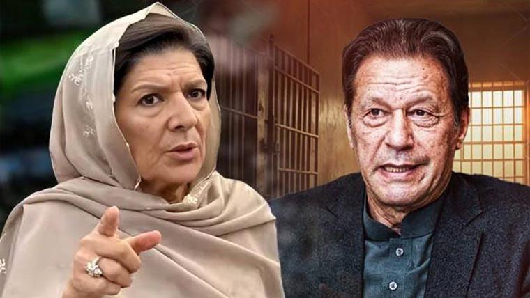 علیمہ خان کا  عمران خان سے پاور آف اٹارنی پر دستخط کی اجازت کیلئے عدالت سے رجوع