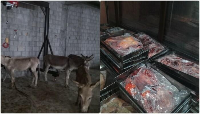 اسلام آباد فوڈ اتھارٹی نے ترنول میں چھاپہ مار کر 25 من گدھے کا گوشت برآمد کرلیا