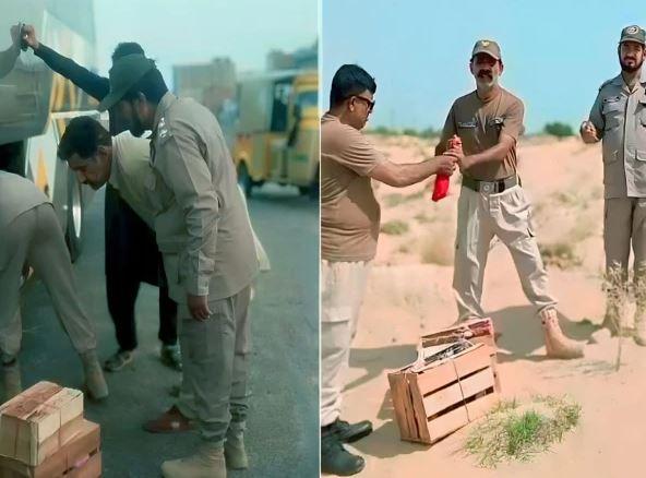 Wildlife Rangers bust quail smuggling, illegal parrot hunting in Punjab