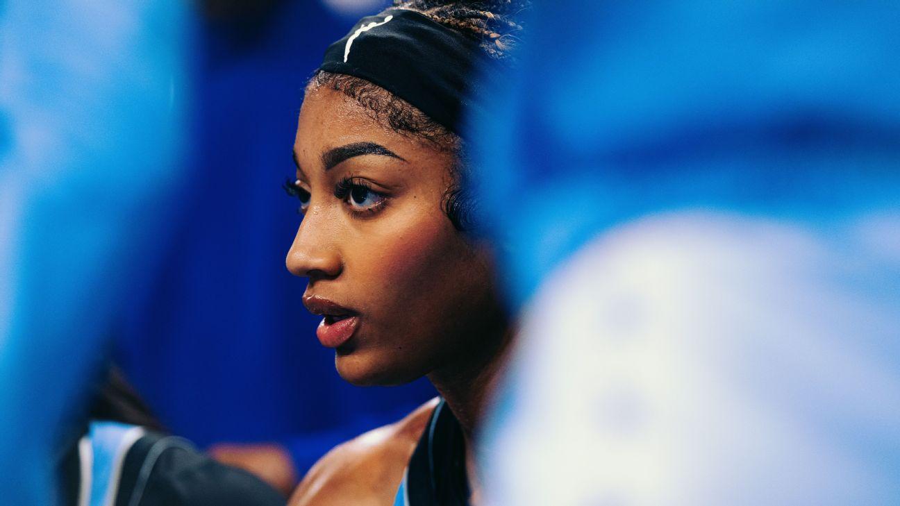 Sky's Reese: Didn't mean to put down teammates