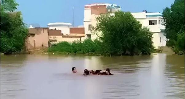 Boat carrying flood victims capsizes in Multan; five dead