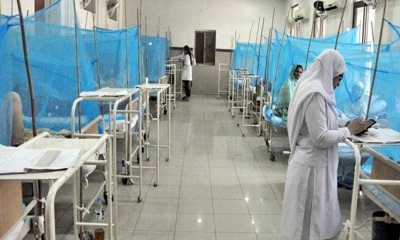 راولپنڈی میں ڈینگی کے وار جاری، گزشتہ 24 گھنٹوں میں 12 نئے مریض رپورٹ