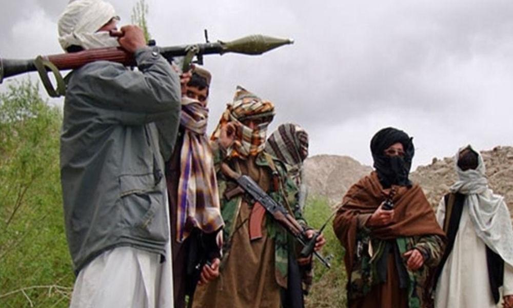 More than 8,000 terrorists are present in KP: Govt officials reveal