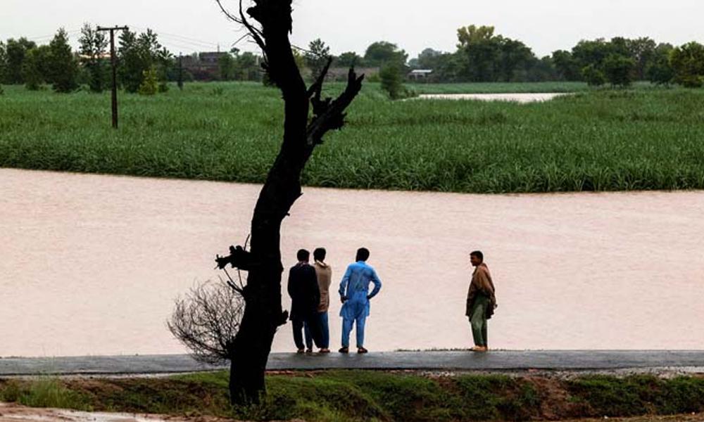 Punjab: 4.3pc of agricultural land affected by floods, 1.3mn acres submerged
