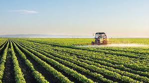 Pakistan Business Forum urges govt to take concrete steps for agriculture sector