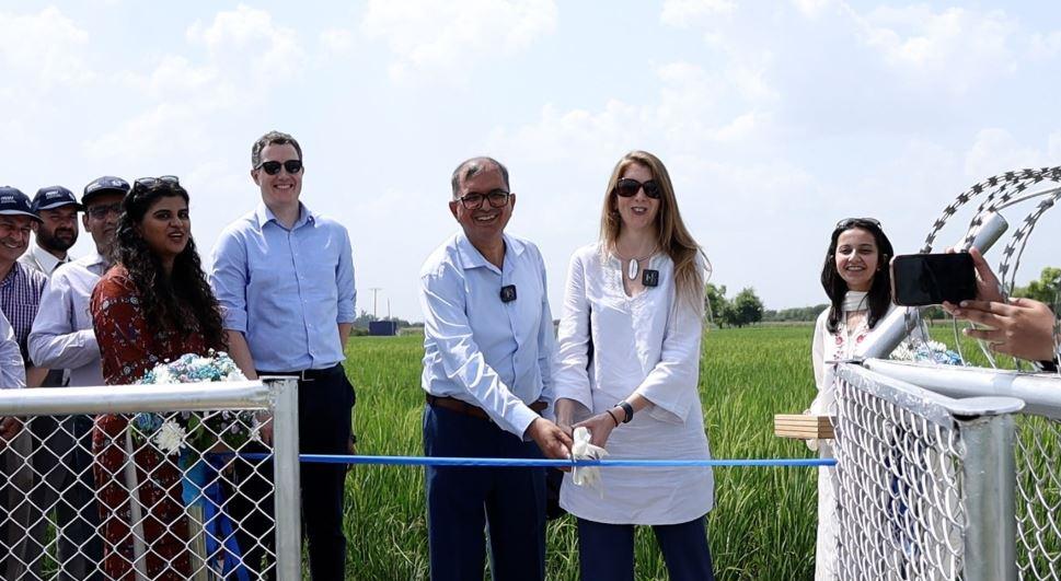 British High Commissioner visits Okara to see UK-Pakistan partnership driving climate-smart farming