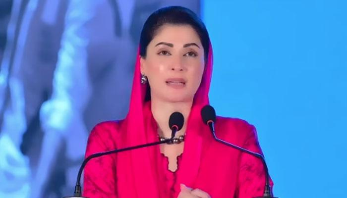 پنجاب میں 25 لاکھ افراد کا محفوظ انخلا، وزیراعلیٰ کی کارکردگی کا دعویٰ