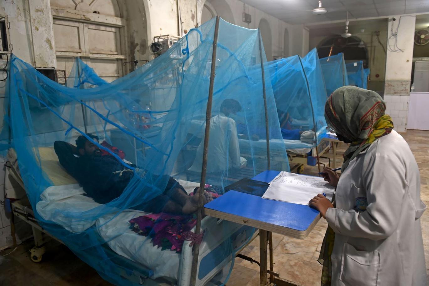 راولپنڈی: ڈینگی کے وار جاری، گزشتہ 24 گھنٹوں میں 16 نئے کیسز رپورٹ