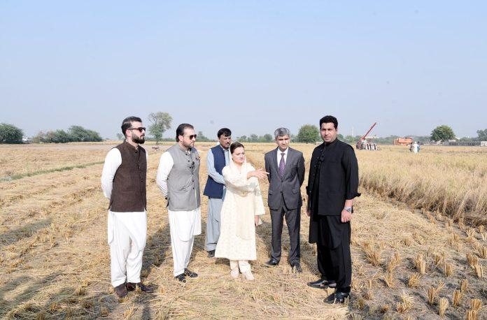 پنجاب میں جدید زرعی مشینری کے استعمال سے سموگ اور فضائی آلودگی میں نمایاں کمی آئی ہے، مریم اورنگزیب