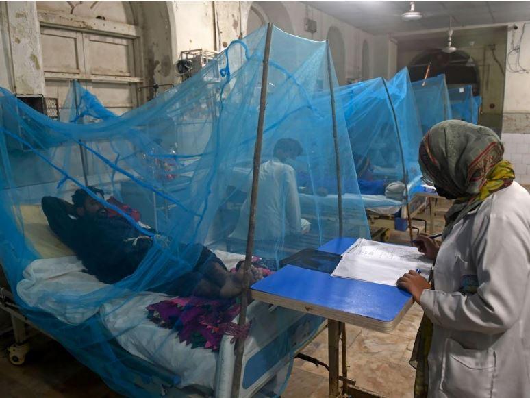 راولپنڈی : موسم کی تبدیلی کے باعث  ڈینگی کے حملوں میں معمولی کمی