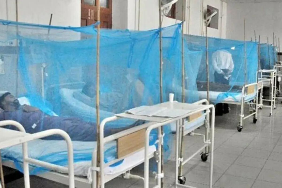 Dengue cases continue to rise across KPK,45 new confirmed cases report in the past 24 hours