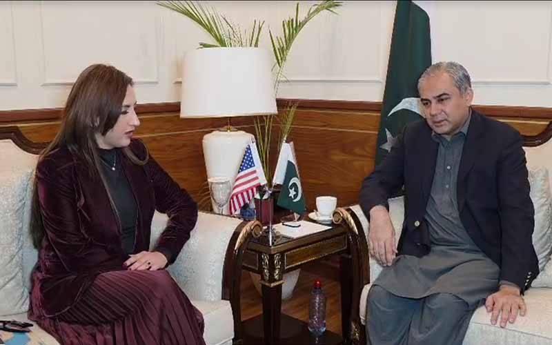 وزیر داخلہ محسن نقوی سے قائم مقام امریکی سفیر کی ملاقات، اسلام آباد دھماکے کی مذمت 