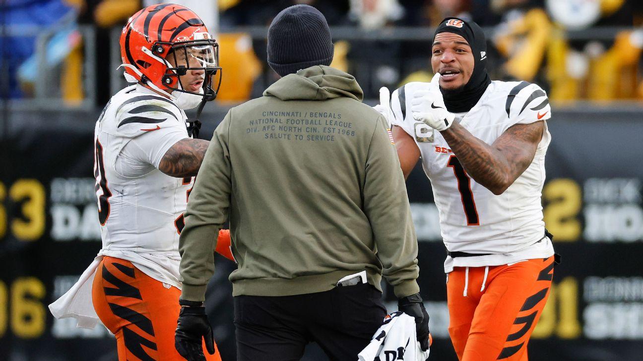 Bengals' Chase suspended one game for spitting