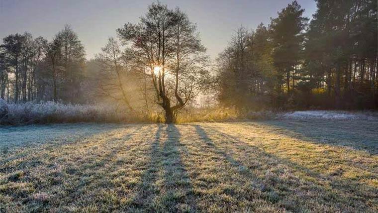 ملک کے بیشتر علاقوں میں موسم سرد اورخشک، جبکہ شمالی علاقوں میں موسم سرد رہنے کا امکان،محکمہ موسمیات