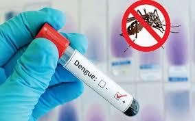 کراچی سمیت سندھ بھر میں ڈینگی کے مزید 232 کیسزرپورٹ