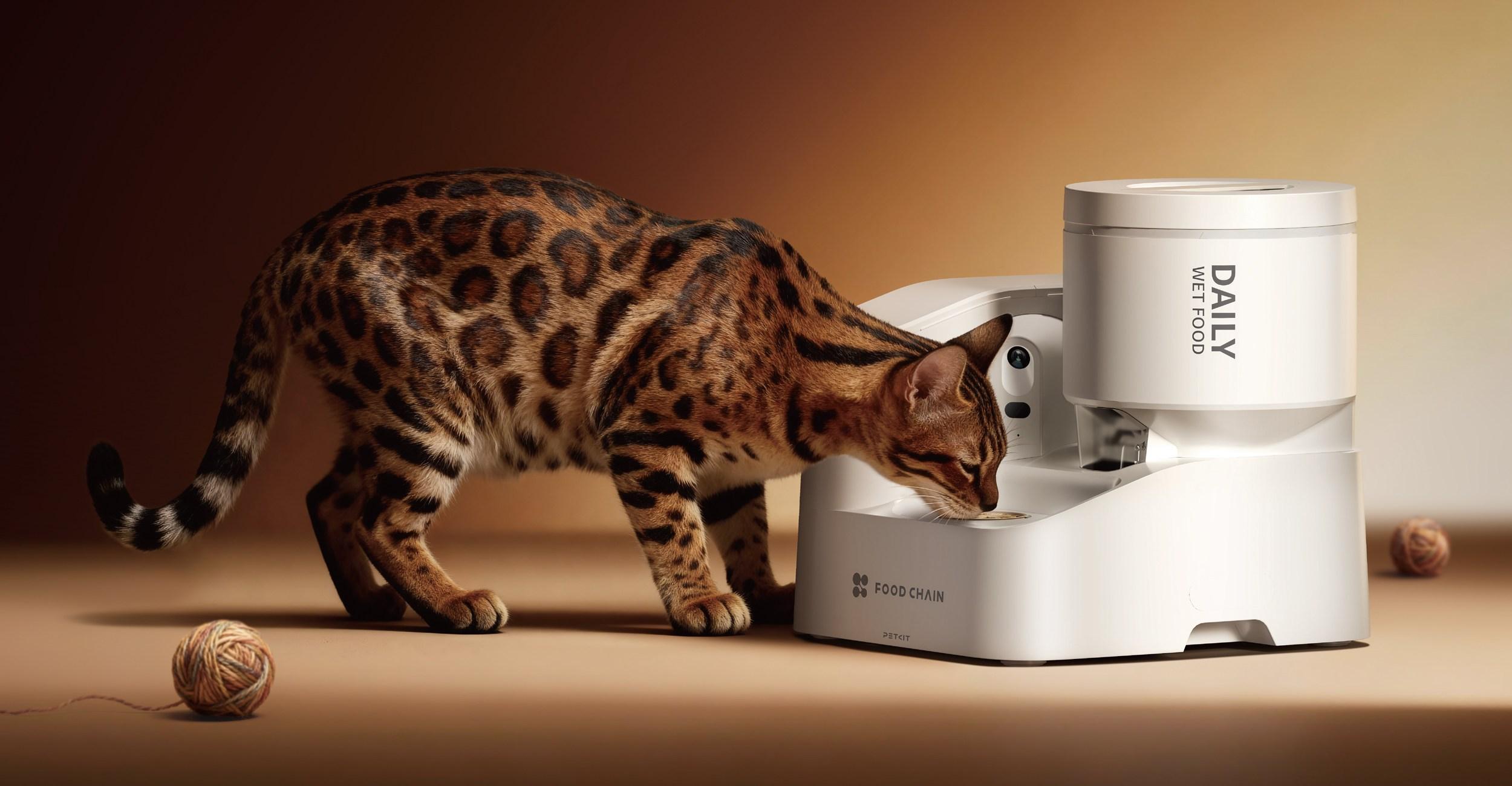 Petkit’s first automatic wet food feeder keeps track of how much your pet eats