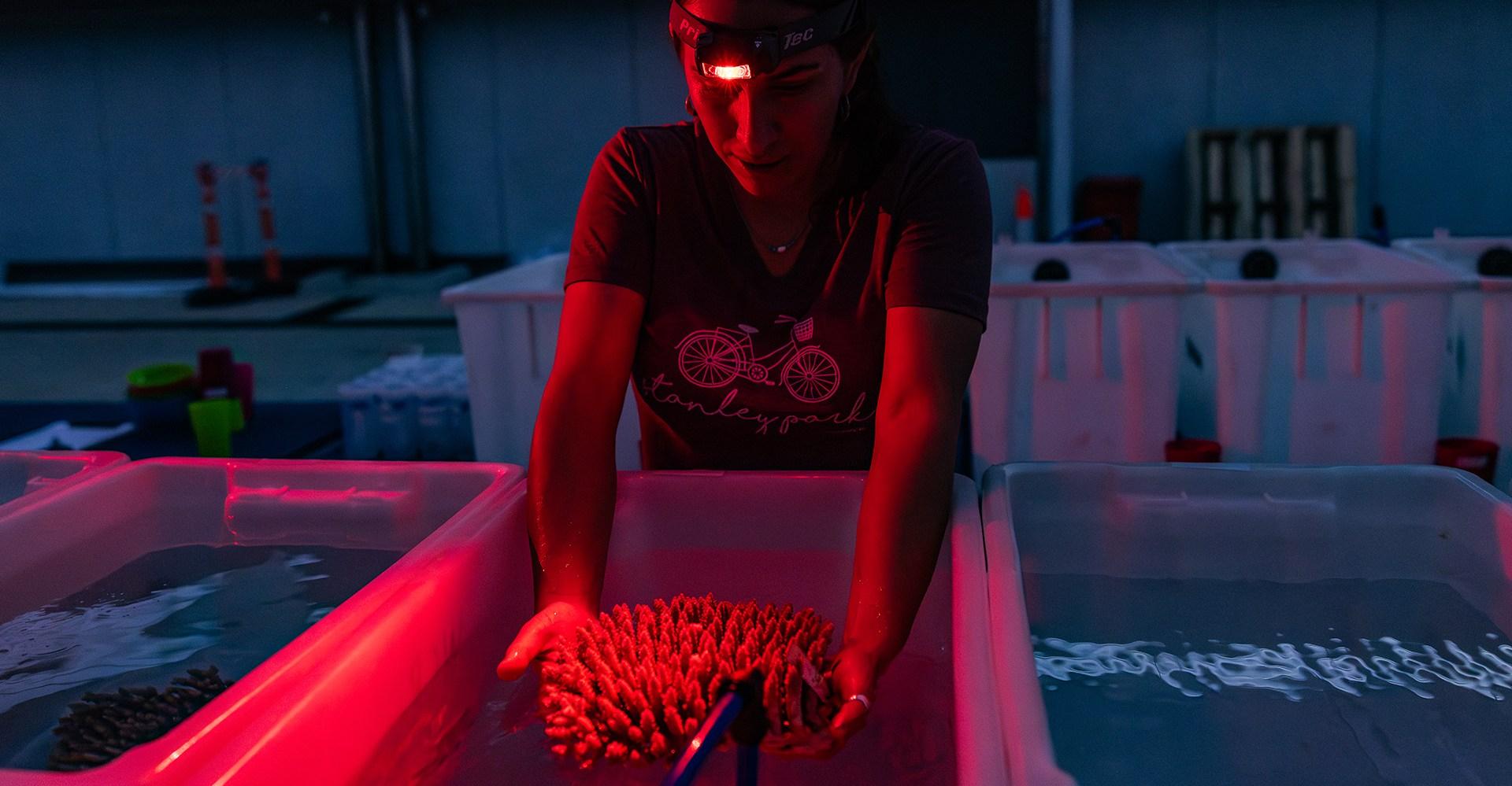 An exclusive look inside the largest effort ever mounted to keep the Great Barrier Reef alive