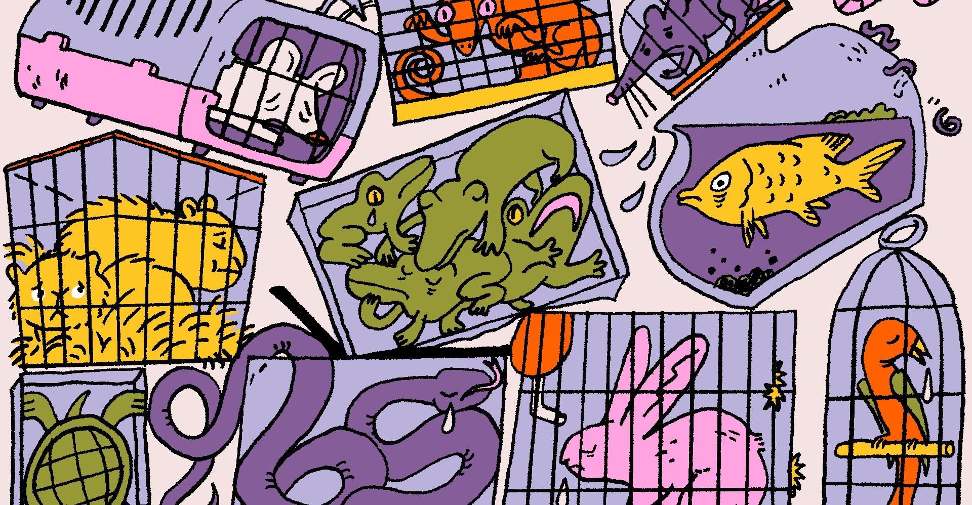 The case against owning small pets