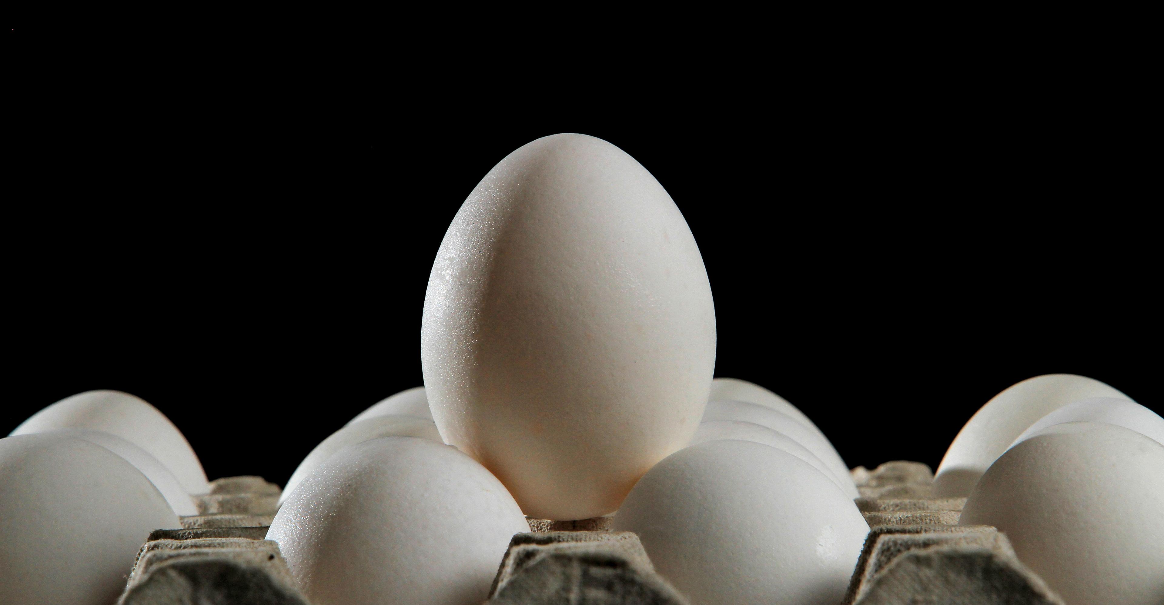 The real reason all of your eggs still aren’t cage-free