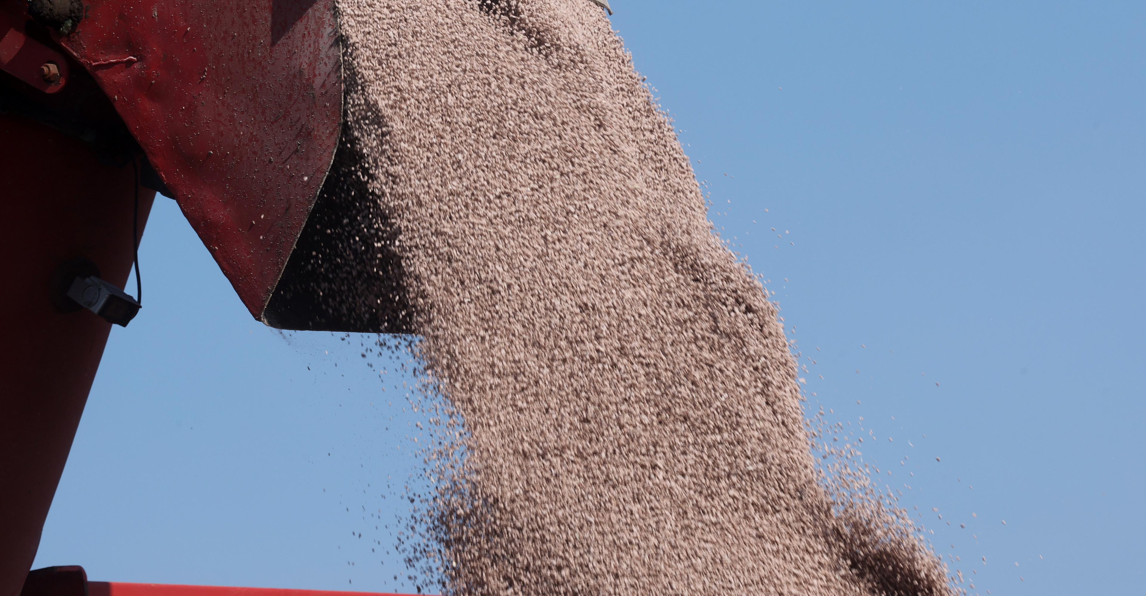 The pain from the Strait of Hormuz crisis will be felt far beyond the pump