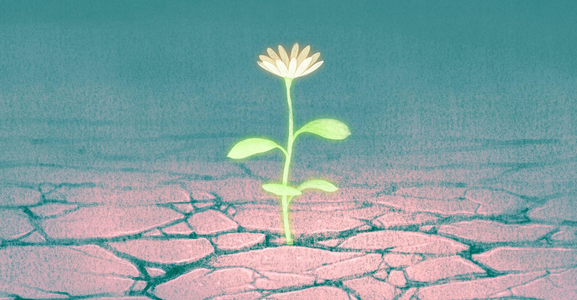 Hope vs. optimism, explained