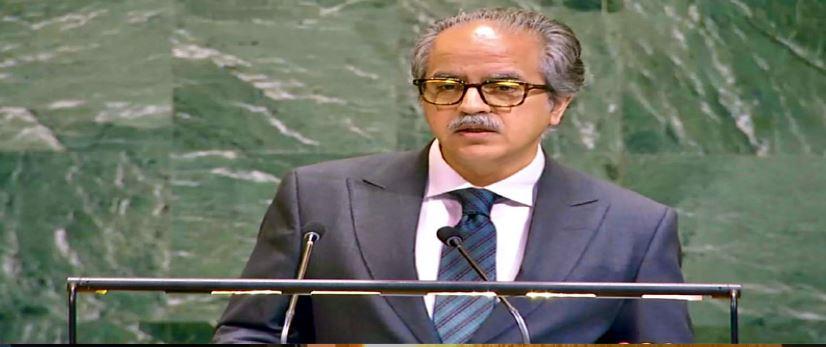 پاکستان کا آبنائے ہرمز سے سویلین جہازوں کی محفوظ آمدورفت کا مطالبہ