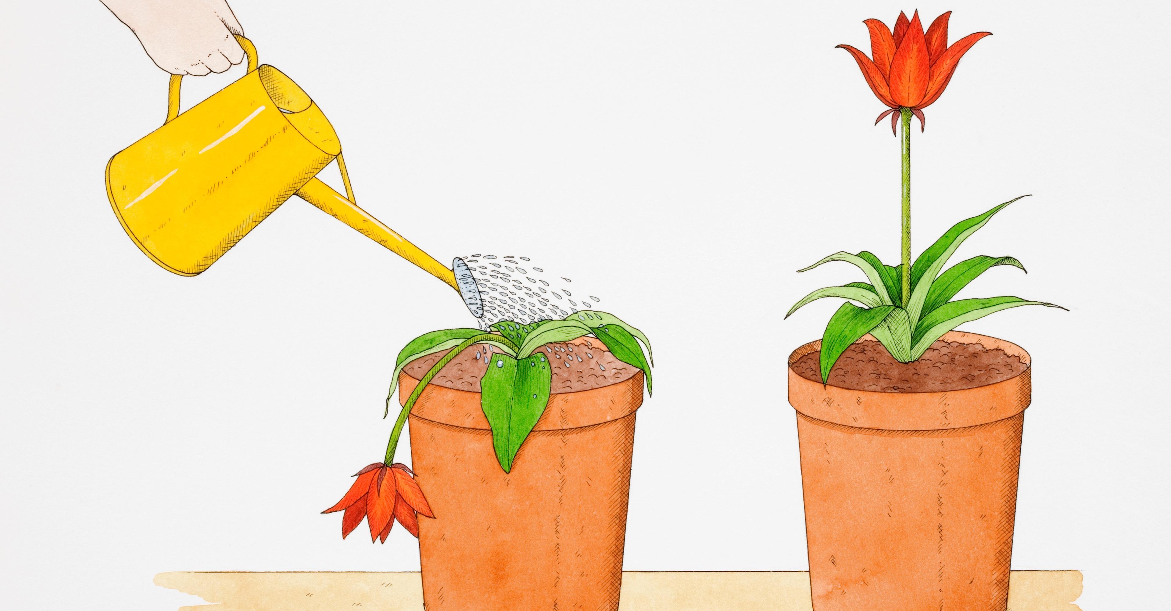 How to get over your fear of being a burden and actually ask for help