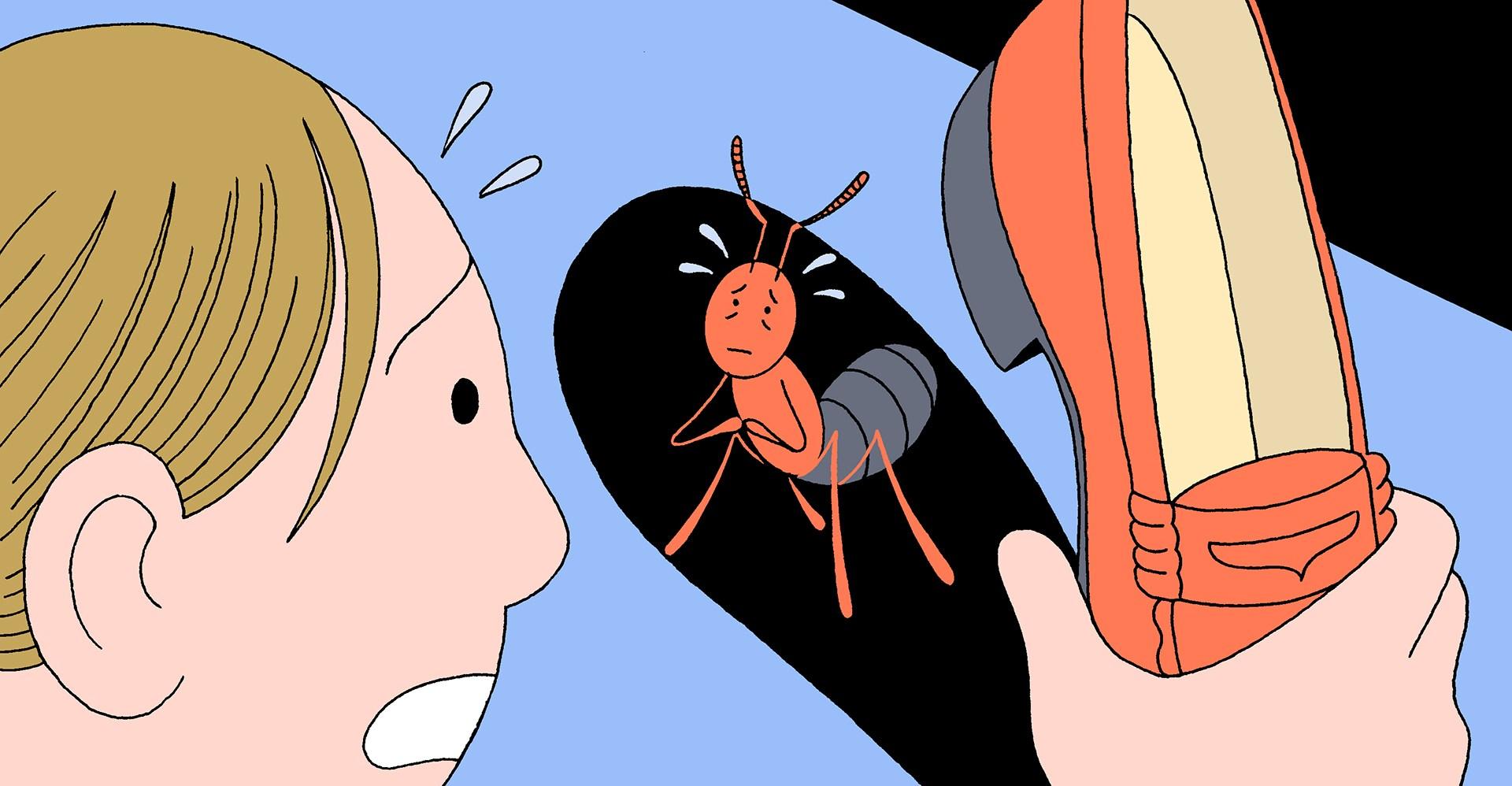 Should you feel guilty for killing the bugs in your house?