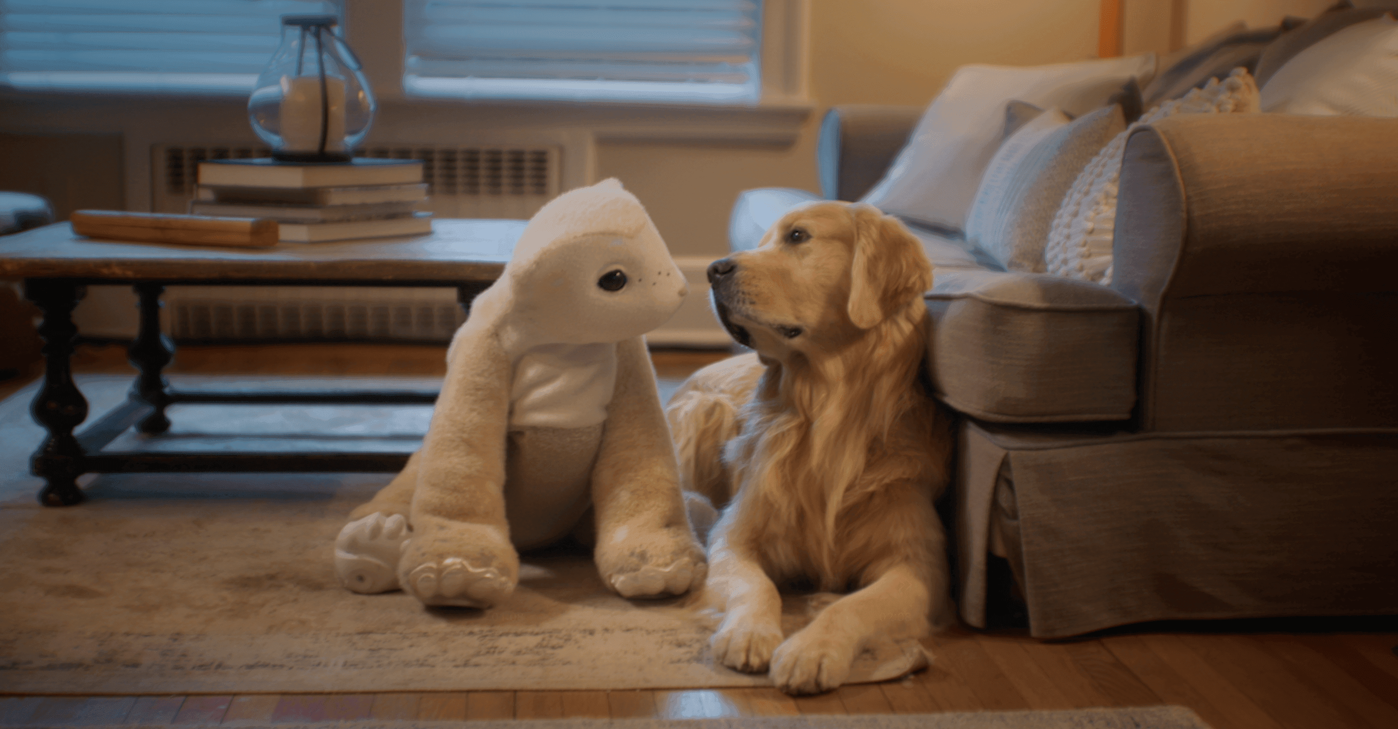The creator of Roomba is back with a furry robot companion
