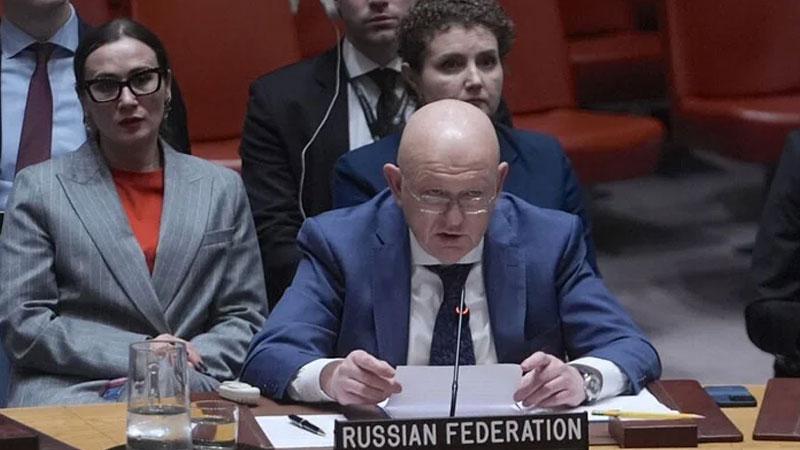 Russia vetoes US drafted anti-Iran resolution at the UN Security Council